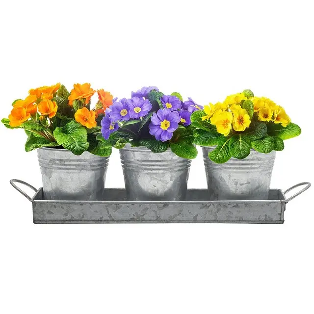 Vasi da fiori e fioriere in ferro grigio per interni semplici decorativi resistenti con vassoio Set di 2 per la decorazione delle piante da giardino del Patio di casa