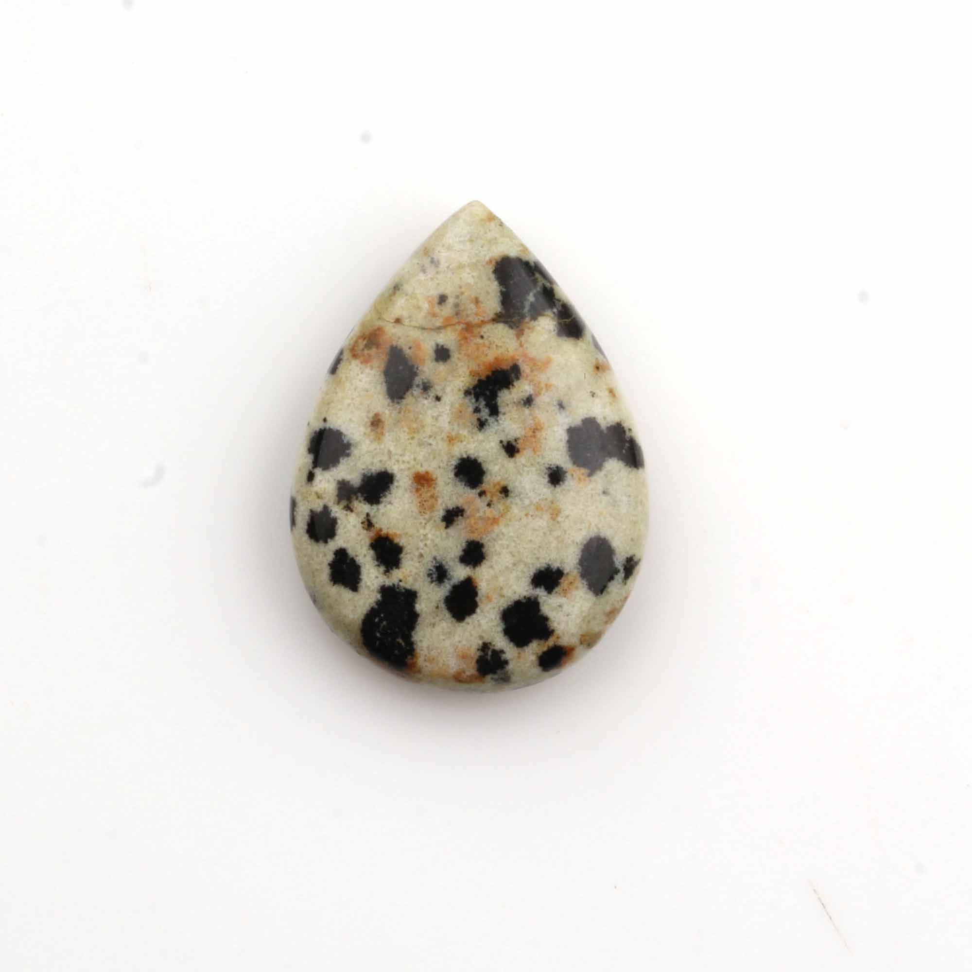 Cream With Black Spot