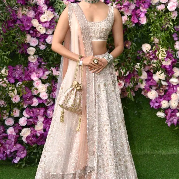 Lehenga de styliste avec paillettes, livre de shopping en ligne pour femmes, mariage et occasions spéciales, style indien