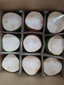 FRESH <strong>COCONUT</strong>- <strong>COCONUT</strong> WATER - DESICCATED <strong>COCONUT</strong> -[ WA 0084 765 149 122]