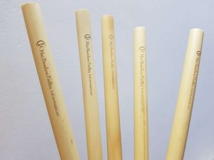 Eco-friendly Natural Bamboo <strong>Straws</strong> With Coconut Spoon Cleaning Brush High Quality Vietnam Logo Drinking Bambo <strong>Straw</strong>