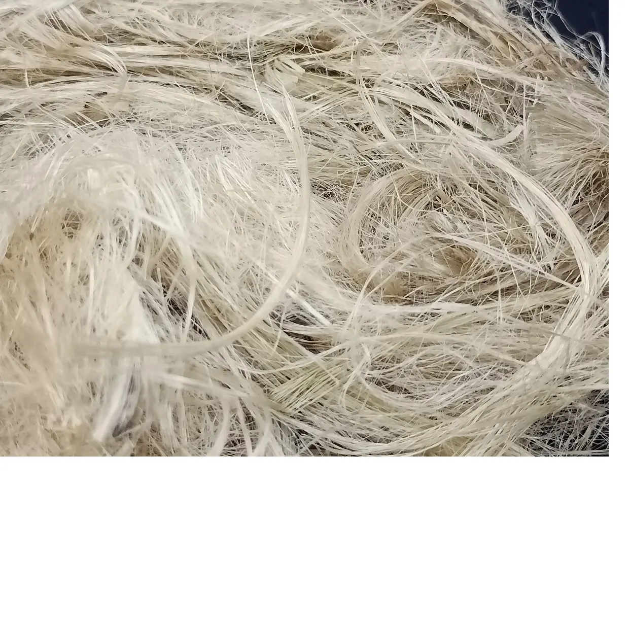 Fibre de jute naturelle tricotée dans une taille 6m, adaptée au filage des textile et aux applications techniques, peut être coupé dans sa taille