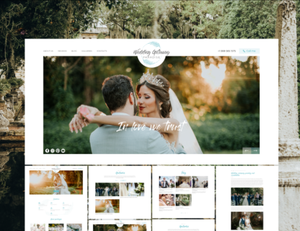 Webent wicklung | Domain registrierung und Hosting | Bestes Design und Entwicklung von E-Commerce-Websites
