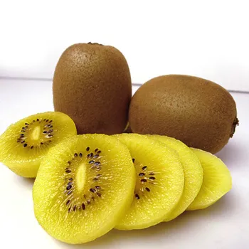 Buah segar panen baru harga pabrik tanaman baru buah Kiwi segar/buah Kiwi untuk dijual/kualitas buah Kiwi merah