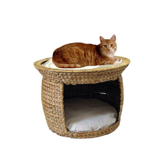 แสงสีน้ำตาล