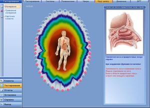 Biomedis BRIS EXPRESS <strong>TEST</strong> Bioresonance Intellectual Scanner - Product Image 2