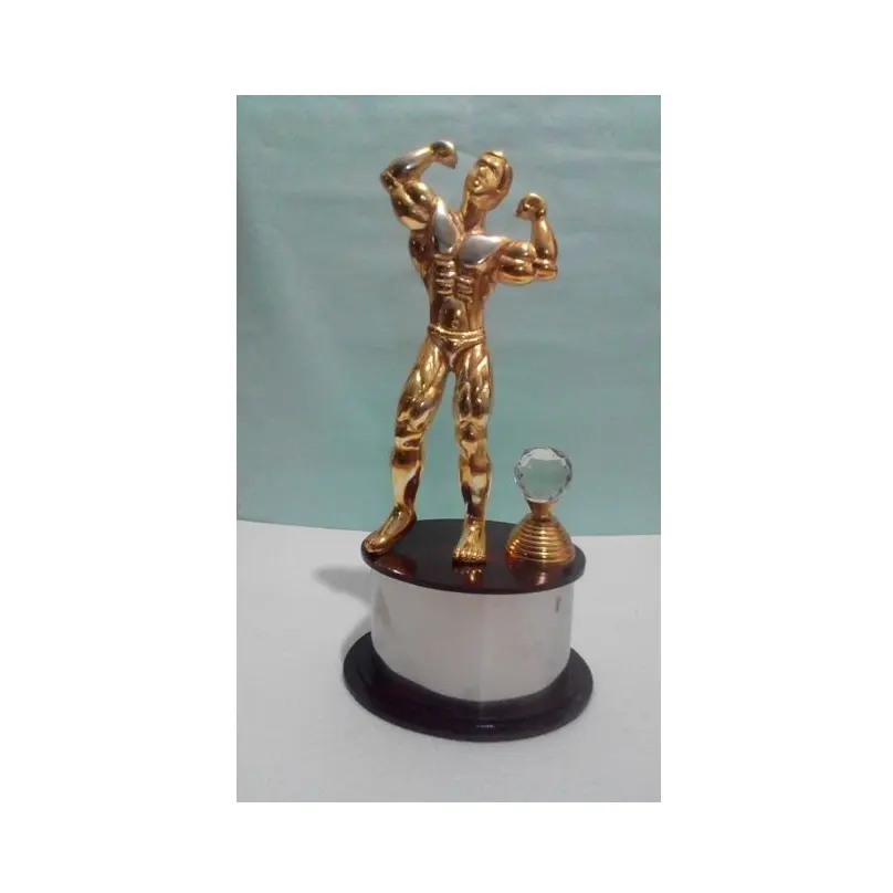 Metalls tatue Skulptur Action Trophy Cup Benutzer definierte Figuren Designer Trophy für die Preis gestaltung Gold Color Finished