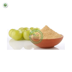 Mới nhất <span class=keywords><strong>2025</strong></span> Hữu Cơ Thảo Dược tóc điều hòa Amla bột trái cây hữu cơ Amla bột - Product Image 2