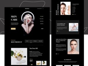 E-Commerce Web Application Design und Entwicklungs agentur Experte für Software