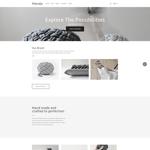 E-Commerce Web Application Design und Entwicklungs agentur Experte für Software