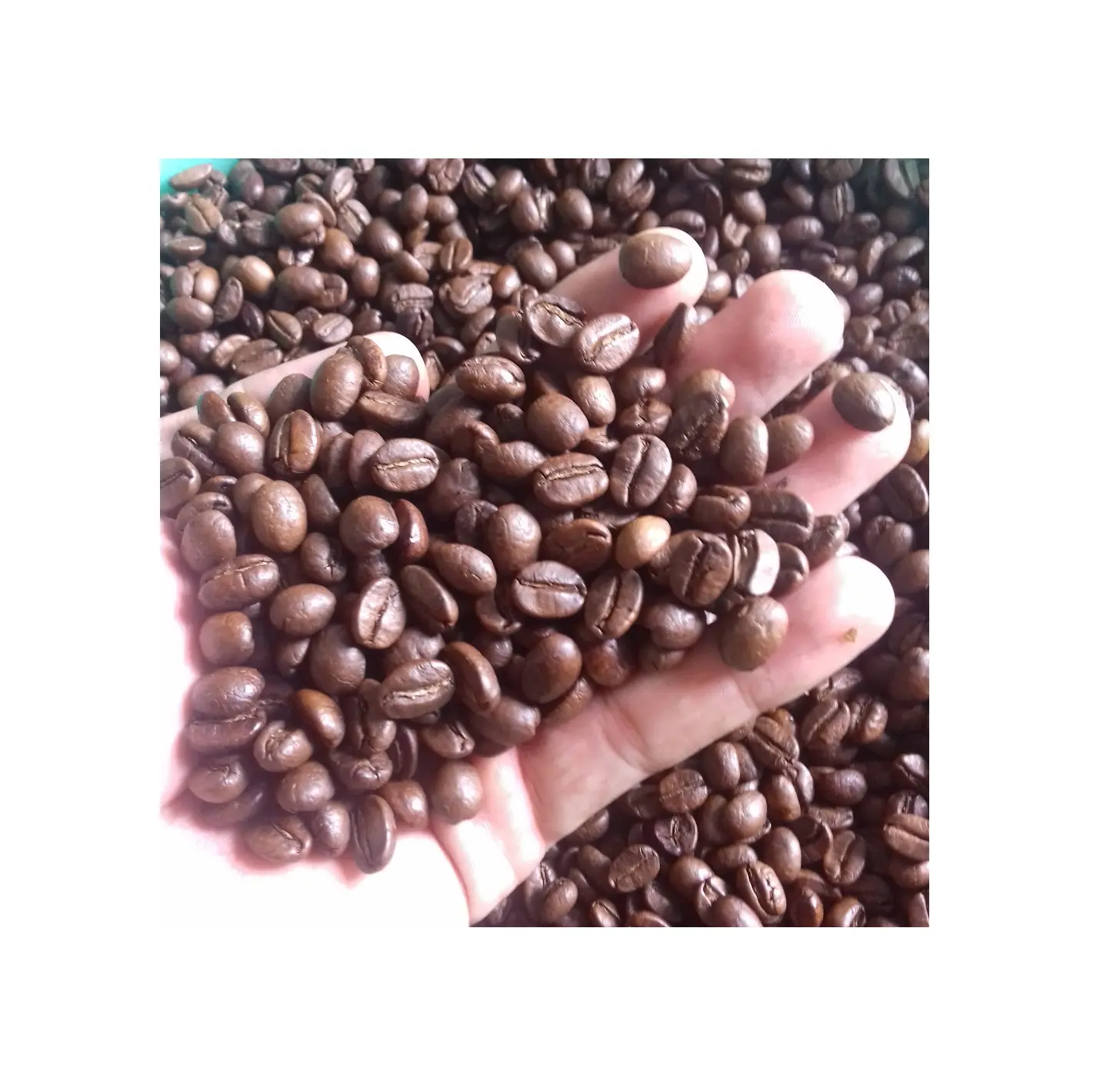 UNROASTED ARABICA GREEN COFFEE ROASTED WITH ROBUSTA GREEN COFFEE (PITA +8 797987481)