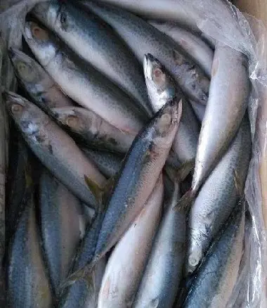 Высококачественная замороженная рыба Сардины