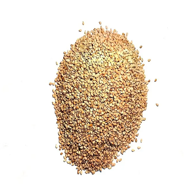 Graines de sésame blanches-Les graines de Sesamum Indicum peuvent être une bonne source de vitamines B