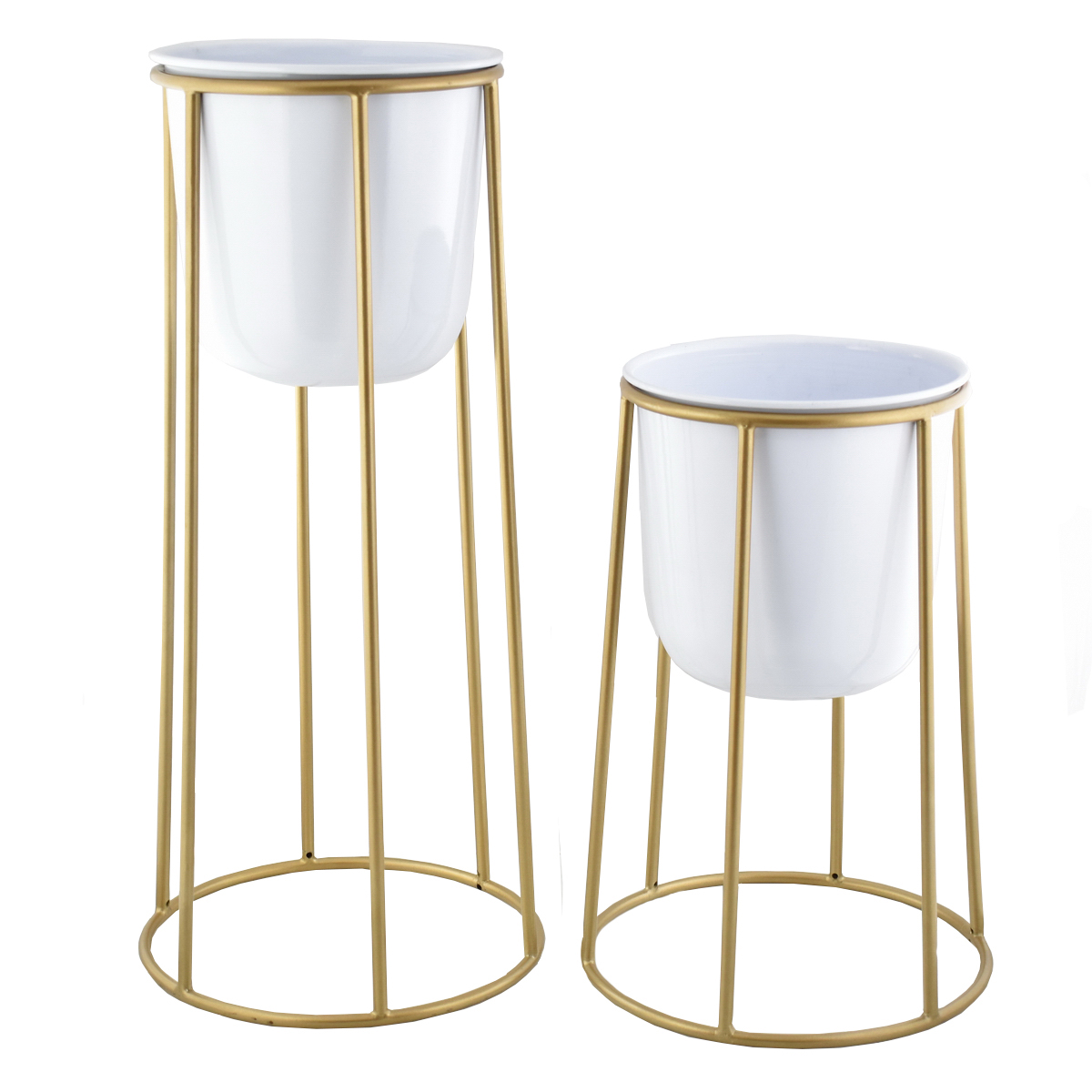 White & Gold