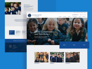 Webent wicklung und-design Service Provider Professional | PHP Laravel WordPress Shopify APP-Entwicklung