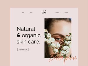 Shopify Webent wicklung und Design von Suchmaschinen-Marketing diensten | B2B B2C E-Commerce-Website