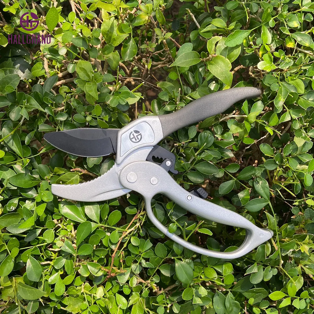 Huianvil — taille-haie de jardin avec lame à coupe unique, conception de système de cliquet, capacité de 20mm, entretien des arbres, avec une poignée confortable