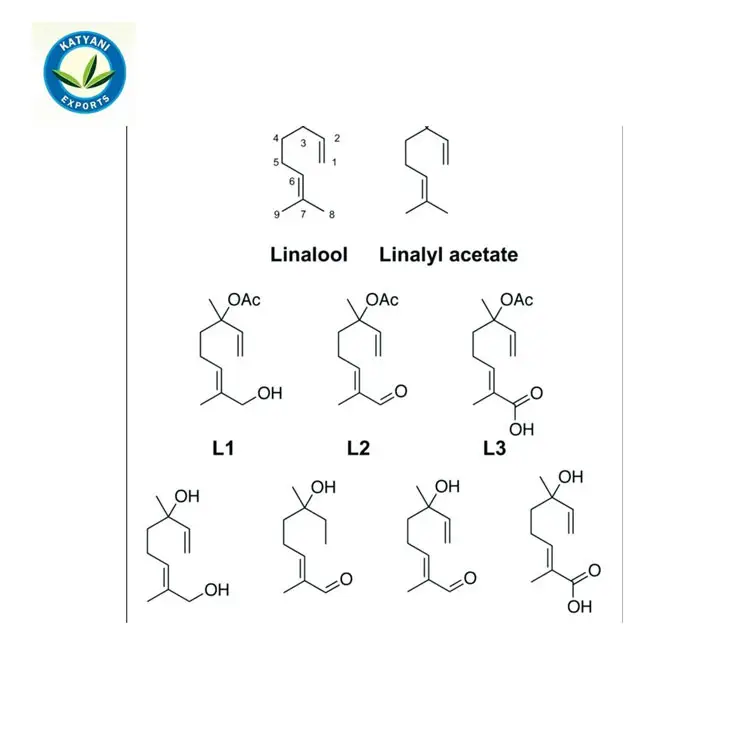 2021 Top Selling Premium Quality Pure And Natural Linalool Aroma Chemical Essential Oil for Whole Sale Supplier