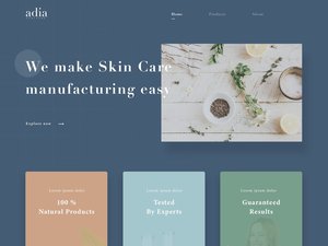 Shopify Webent wicklung und Design von Suchmaschinen-Marketing diensten | B2B B2C E-Commerce-Website