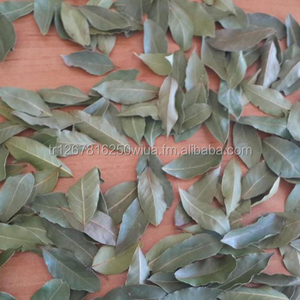 Nhà Cung Cấp Hàng Đầu Tốt Nhất Laurel Bay Lá Hỏi Đáp Bán Lựa Chọn Và Tay Lựa Chọn Thổ Nhĩ Kỳ Chất Lượng Tốt Nhất Xuất Khẩu - Product Image 1