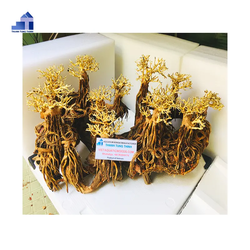 Articles chauds 2023 Aquarium bonsaï bois flotté décoratif bois flotté pour aménagement paysager aquarelle WhatsApp: + 84 961005832