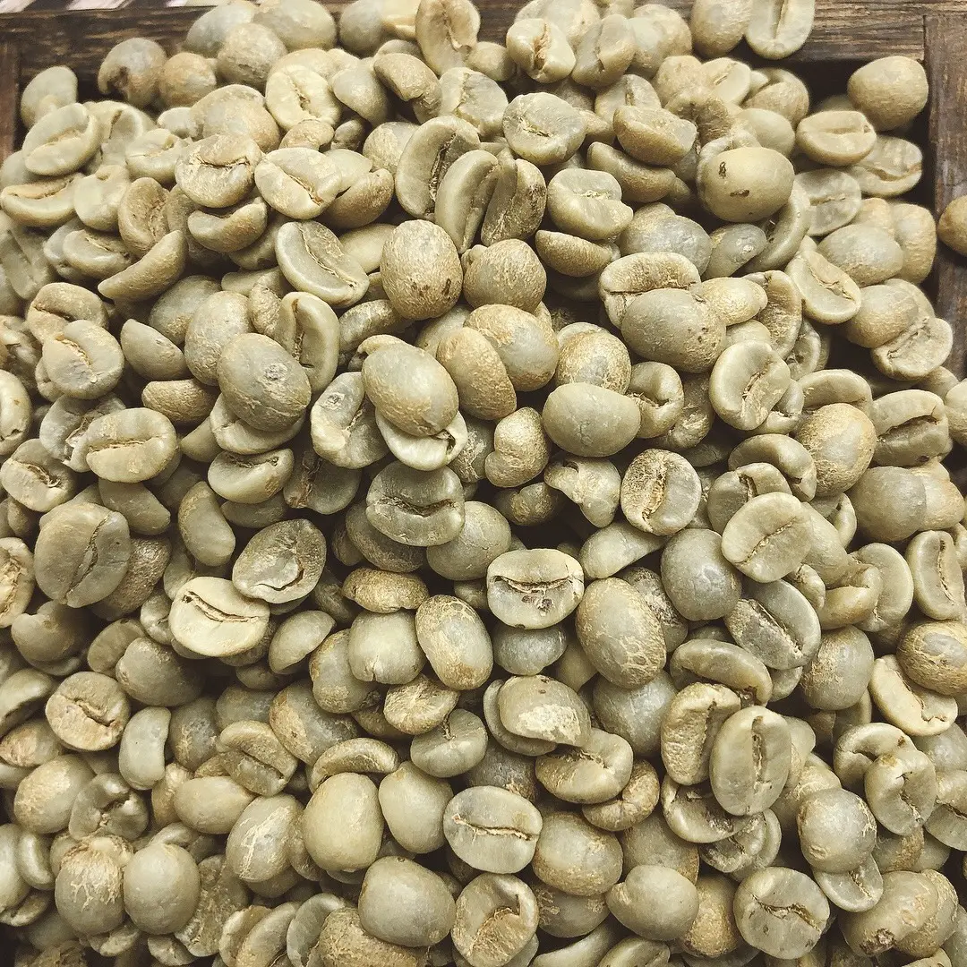 Granos de café arábiga en crudo, Exportación vietnamita verde con S13, S14, S16, S18 y 2kg, listo para el envío