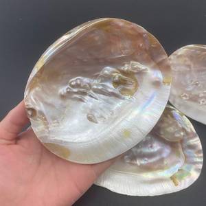 Polished Abalone <strong>Shell</strong> Bulk Price Perlized Seashells Pearl White Abalone <strong>Shells</strong> - Product Image 6