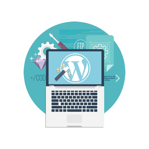 SEO dostu Web | Özelleştirilmiş WordPress Web sitesi hizmetleri | Protolabz eServices