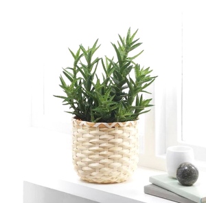 竹植物ハンギングバスケット、作成美しい植物配置屋内範囲ぶら下げの植木鉢。