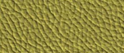 8109 Lime
