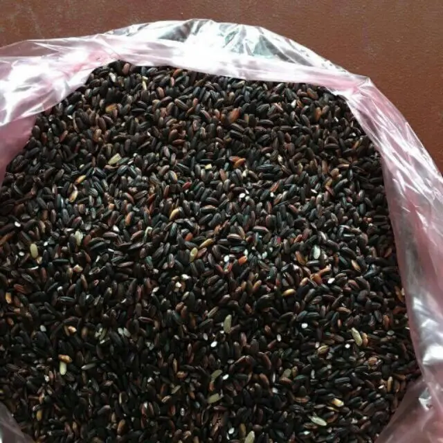 Arroz negro orgánico/Arroz pegajoso/arroz glutinoso (precio barato)-Sra Akina