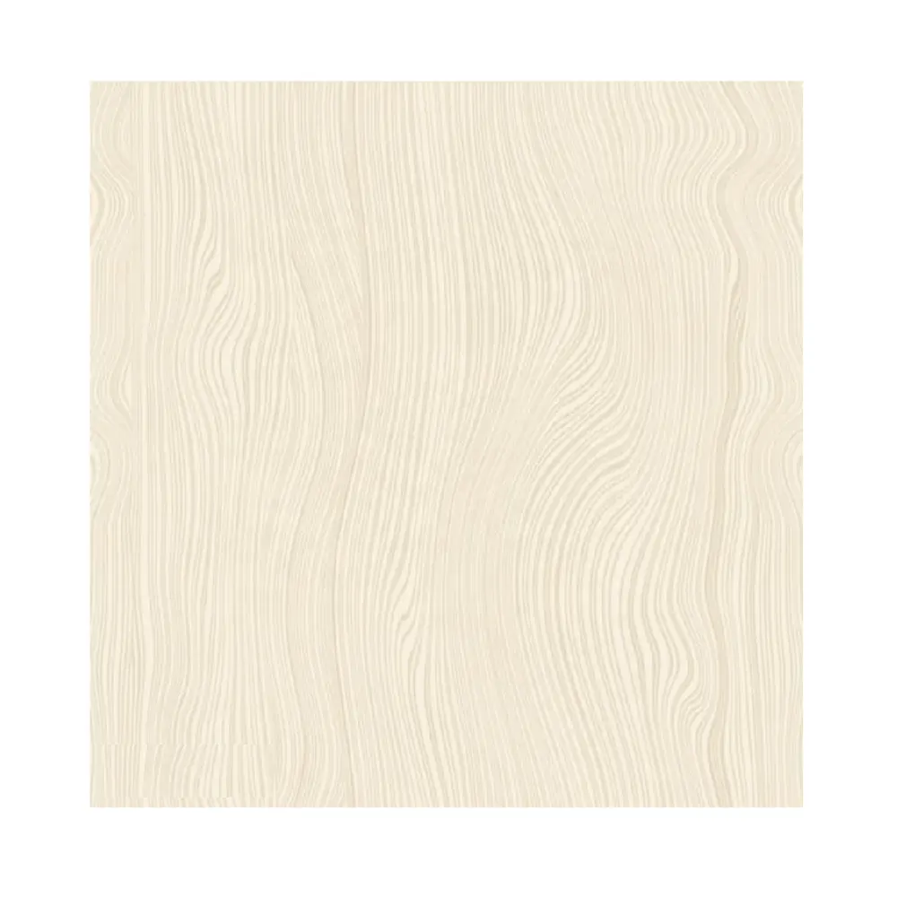 Baldosas de porcelana pulida Embalaje de paleta de madera Baldosa de sal soluble Durabilidad máxima Baldosas de piso Tamaño 60x60cm Piso lujoso