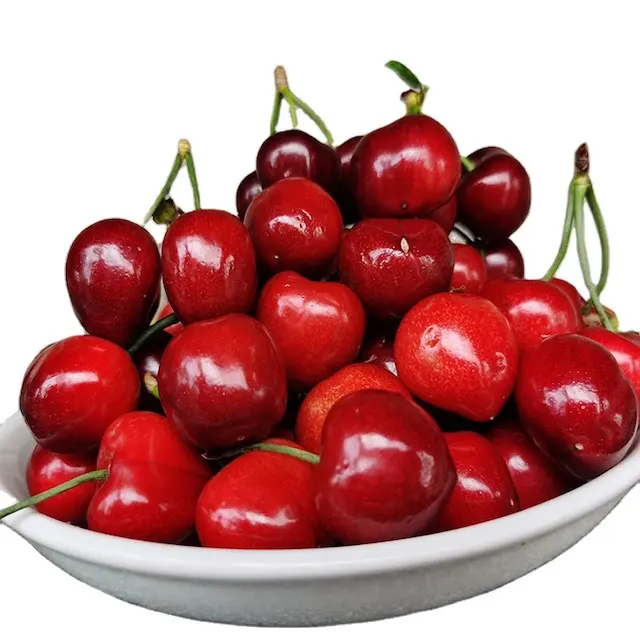 high quality new crop Fresh Sweet Cherry FRUITS