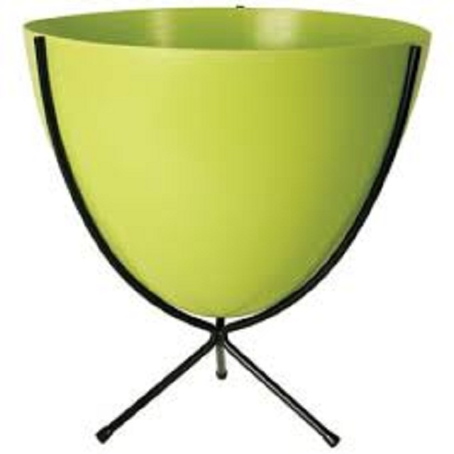 Vert