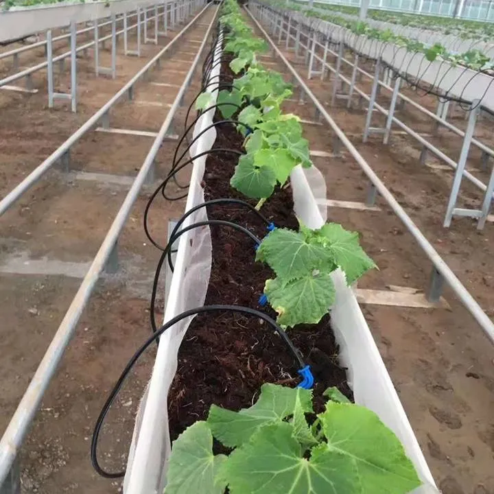 Sistema di irrigazione a goccia per dosaggio di fertilizzanti singolo doppio quattro rami curvedarrow dripper gocciolamento facile gocciolatore freccia