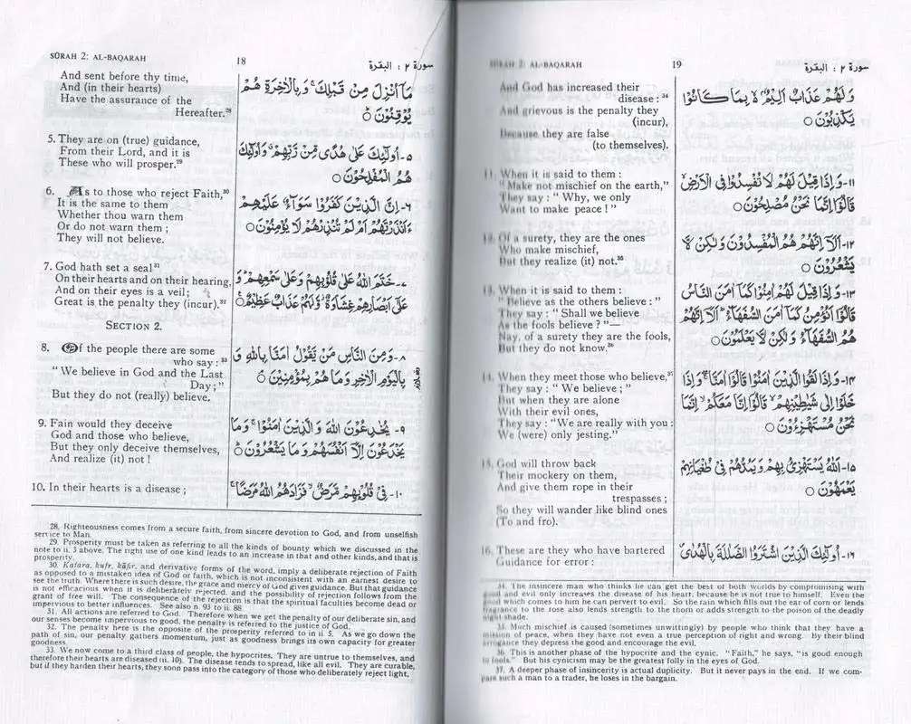 Il traduttore islamico del corano equantu Urdu dizionario che significa la migliore vendita a prezzo all'ingrosso produce in India