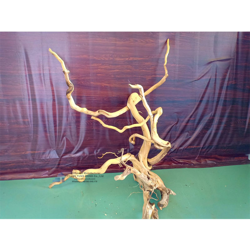 ธรรมชาติ