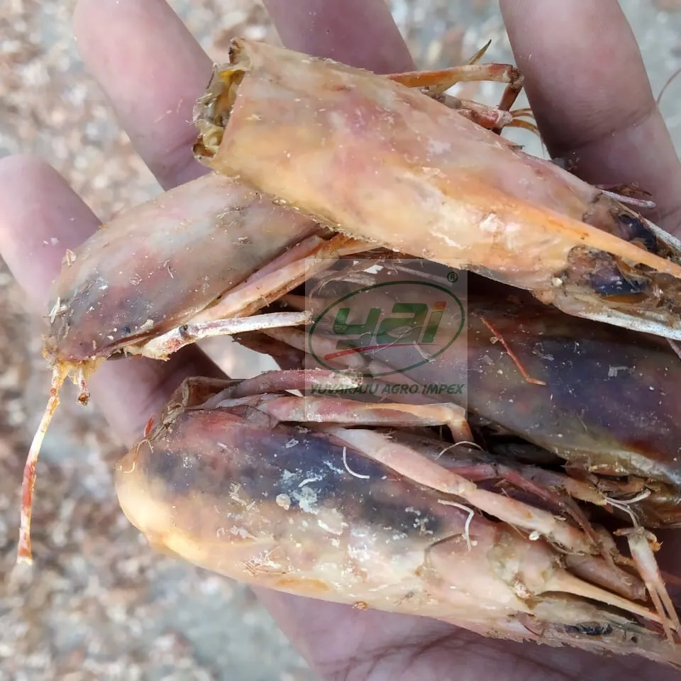 Harina de cáscara de Camarón, cabeza de Camarón, comida de alimentación de Camarón, exportación en la India