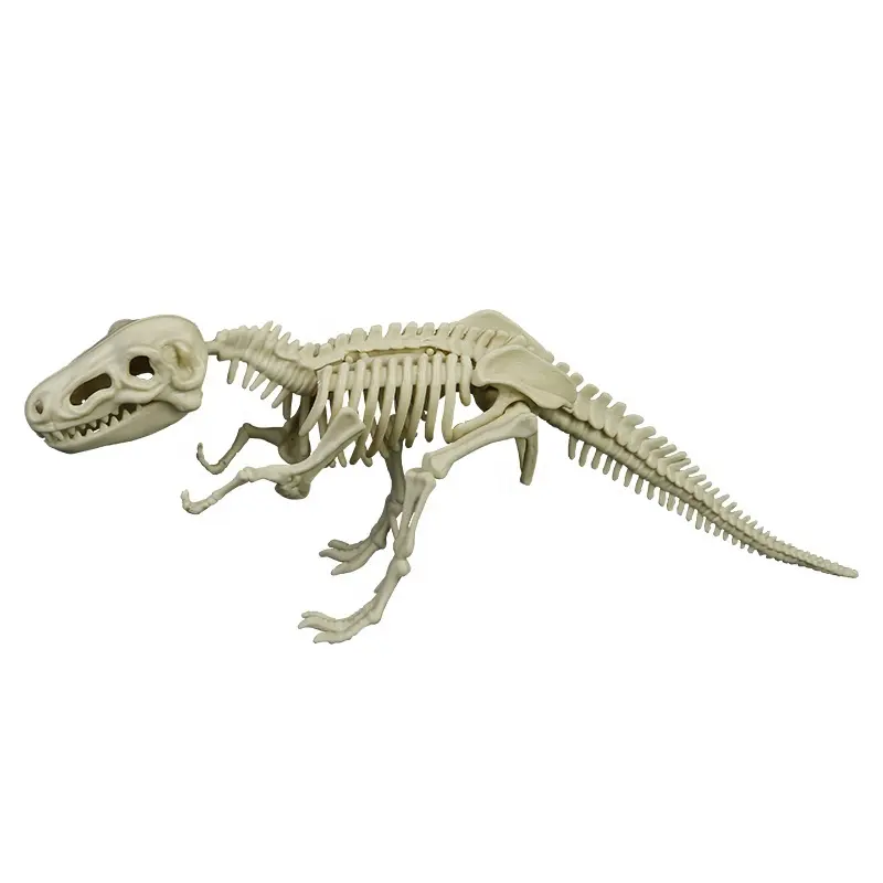 Esqueleto tiranossauro cavalha multitipo, arqueológico brinquedos esqueleto fóssil escavação dinossauro cavar kit