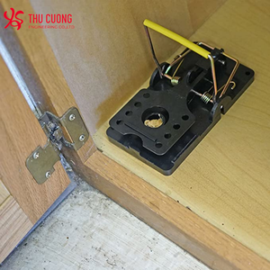 Classic Design Easy Set <strong>Mouse</strong> Control Rat Snap Trap With Teeth Pest Control Rodent Control High Sensitive Even for Small <strong>Mice</strong> - Product Image 5