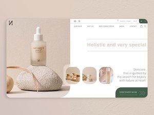 E-Commerce Web Application Design und Entwicklungs agentur Experte für Software