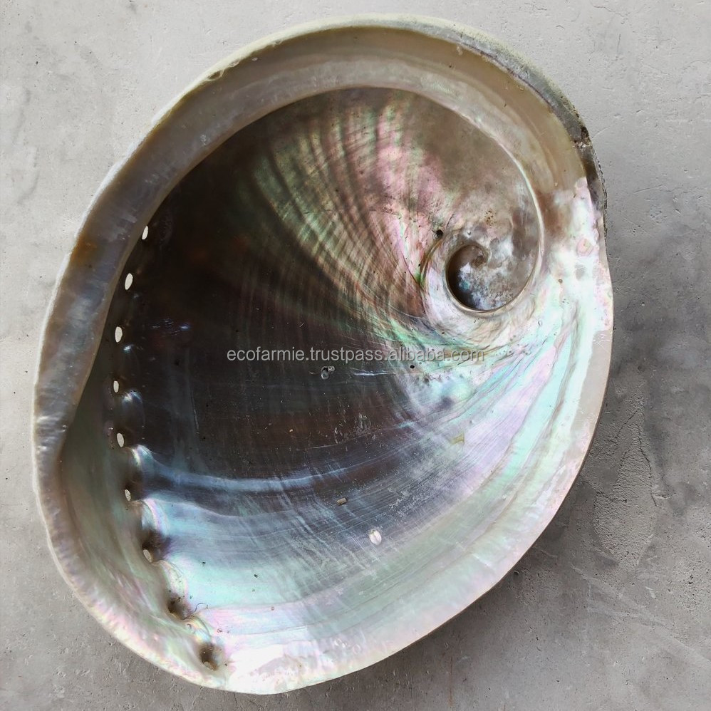 ธรรมชาติ