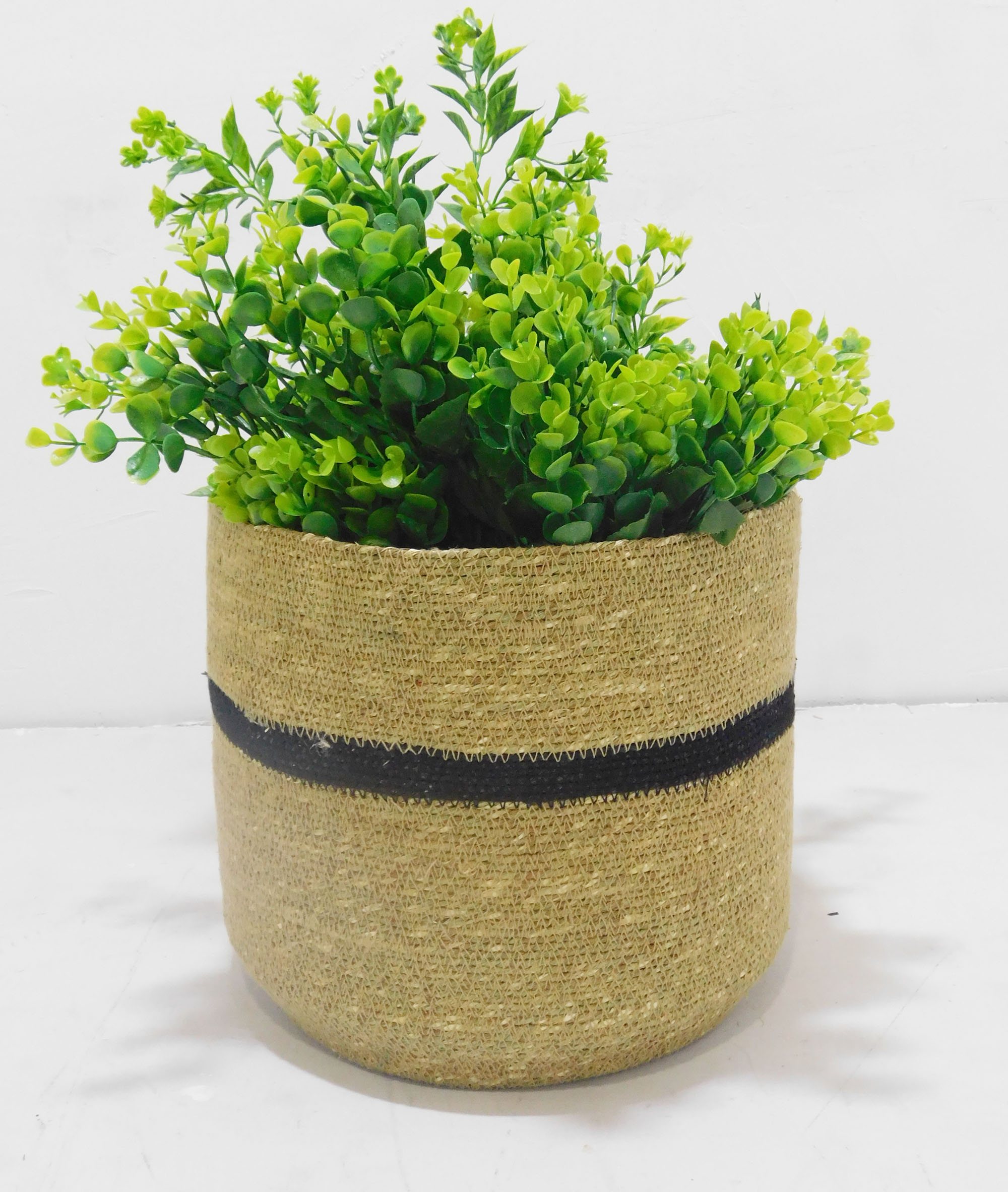 ธรรมชาติ & สีดำ