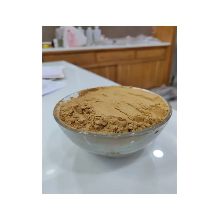 Hot Selling Premium Quality 100% Pure Green Coffee Bean Extract Powder at Wholesale Price