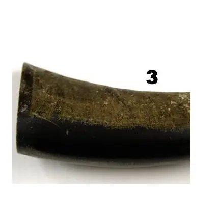 Natural black Horn tips and Manufacturer and handmade product and customized size buffalo horn tip at wholesale supplier