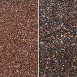 Macchina per smistamento di grano e spezie, - Product Image 5