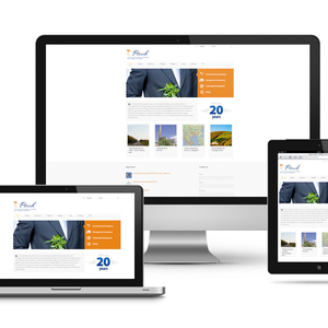 BEST <strong>SOFTWARE</strong> and <strong>WEBSITE</strong> COMPANY in INDIA | PROTOLABZ ESERVICES - Product Image 3