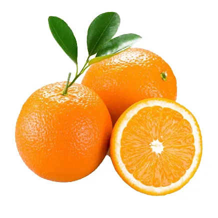 Wholesale Frozen Fresh Mandarin Citrus Orange/Navel Oranges, valencia, Mandarin, Tangerine, Lemons, Clementine, citrus fruits