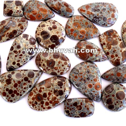 Lot en vrac de pierres précieuses en vrac d'astéroïde Astroite Jasper