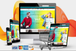 Profession elles Wordpress Website Design & Development Responsive Design für Mac Digital Software Package Inklusive Internet version